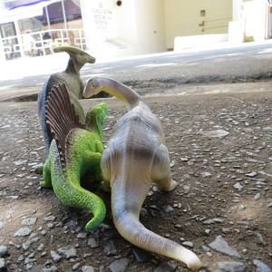 Meet your Posher, Eva